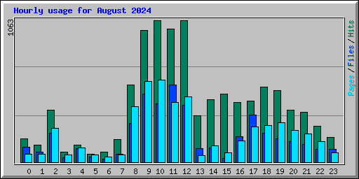 Hourly usage for August 2024