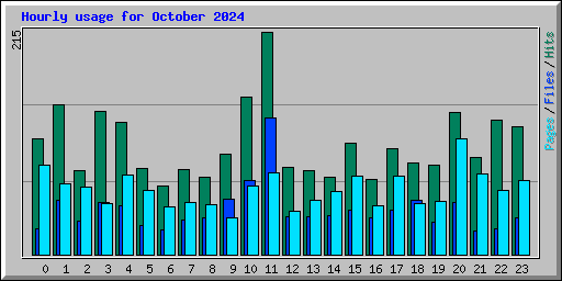 Hourly usage for October 2024