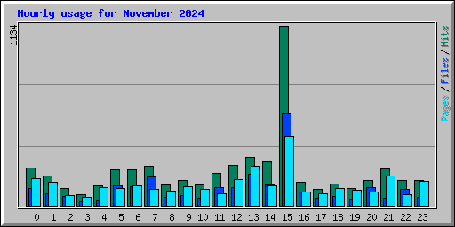 Hourly usage for November 2024