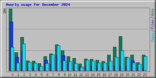 Hourly usage for December 2024